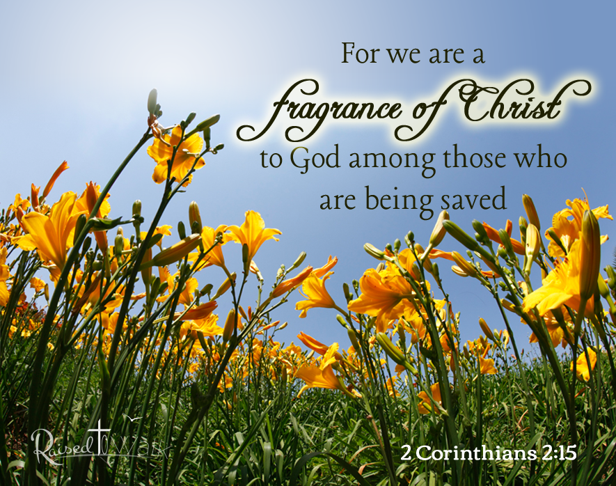 For we are a fragrance of Christ to God among those who are being saved 2 Corinthians 2:15