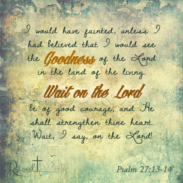 I would have fainted, unless I had believed that I would see the goodness of the Lord in the land of the living. Wait on the Lord; be of good courage, and He shall strengthen thine heart. Wait, I say, on the Lord! ~ Psalm 27:13-14 #quote @raisedtowalk #Bible #verse #bibleverse #Christian #faith #truth #love