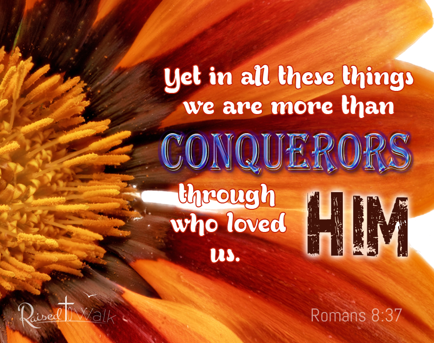 In all this, we are more than conquerors through him who loved us. Romans 8:37