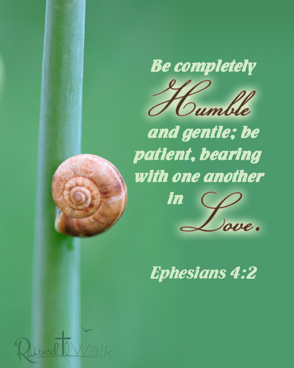 Be completely humble and gentle; be patient, bearing with one another in love. ~ Ephesians 4:2