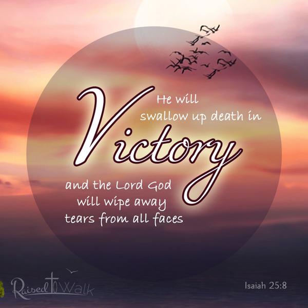 He will swall up death in victory and the Lord God will wipe away tears from all faces. Isaiah 25:8