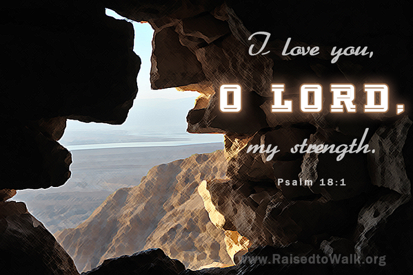 I love you, O Lord, my strength. ~ Psalm 18:1 https://www.raisedtowalk.org #quote #verse #Bibleverse #Bible #Christian #faith #faithfulness #love