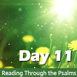 Reading through the Psalms day 11: psalm 11, 61 & 111