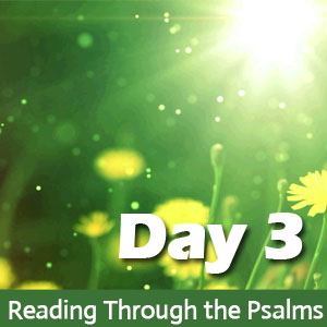 Reading Through the Psalms Day 3: Psalm 3, 53, & 103