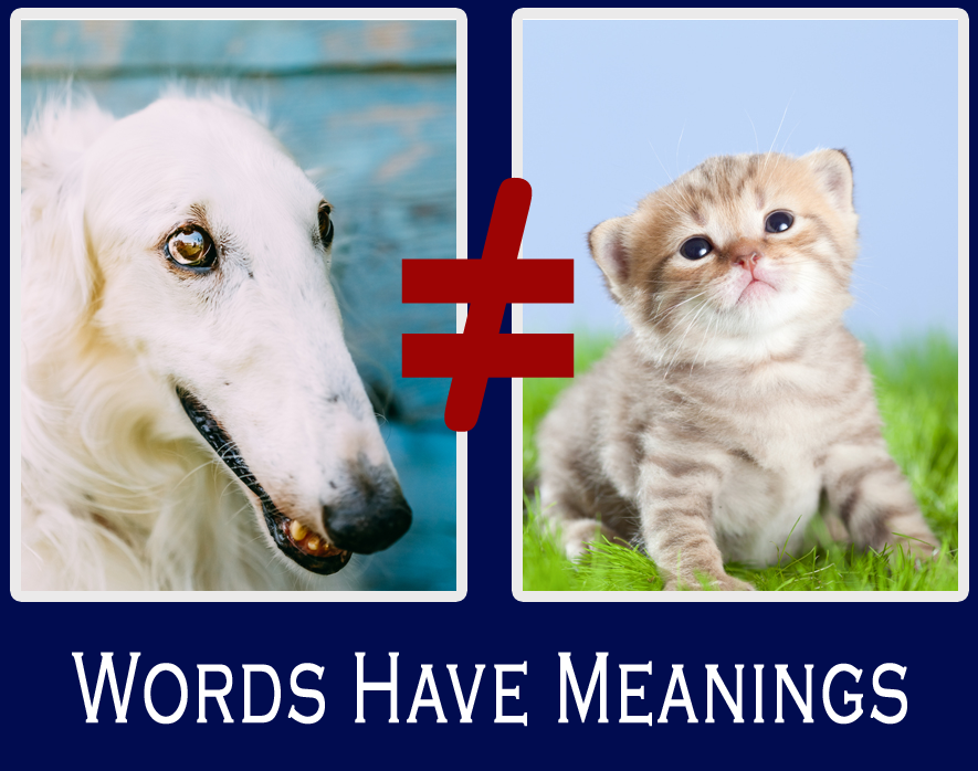 words have meanings