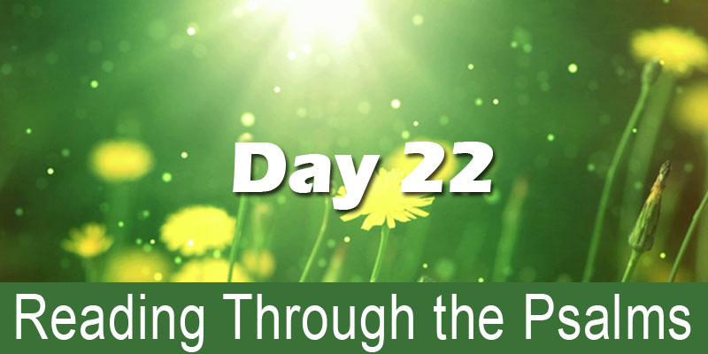 reading through the psalms day 22