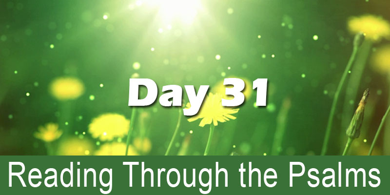 reading through the Psalms day 31