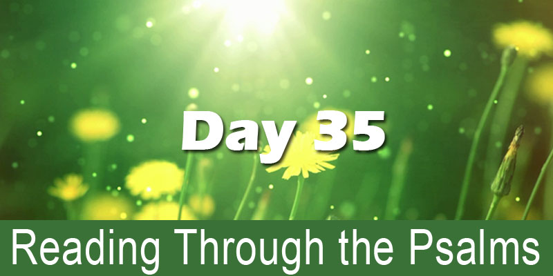 REading through the Psalms day 35