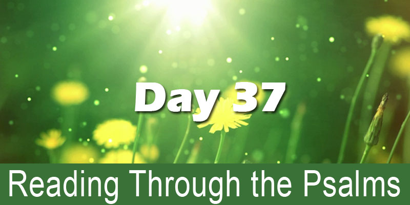 Reading through the Psalms Day 37