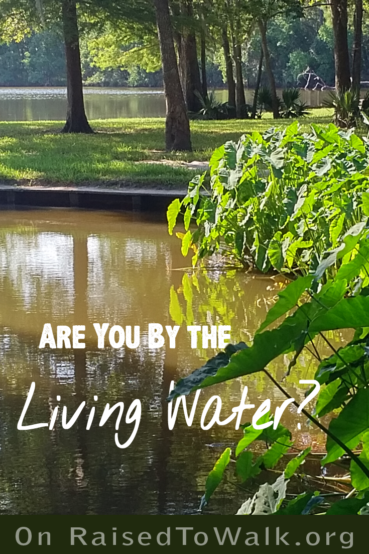 are you by the living water?  Post on raisedtowalk.org #livingwater #holyspirit #Jesus #Christian #quote #peace