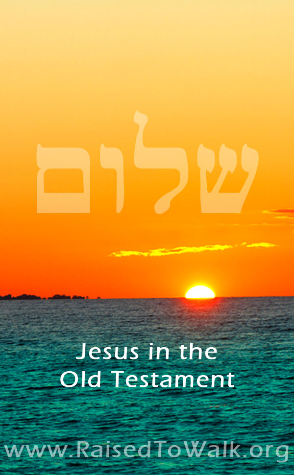 Shalom in #Hebrew means #peace. It is not just a state of mind but a complete state of being. It is the fullness and completeness of God in every area of our life. Read more at @raisedtowalk #Christian #Bible #quote #Biblestudy