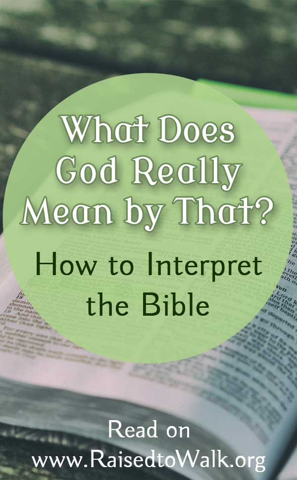 What does God really mean by that? How to interpret the Bible