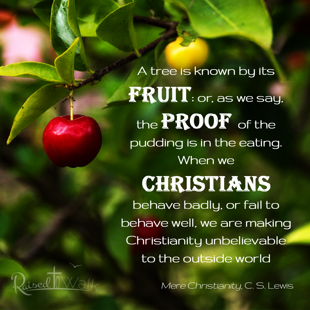 "A tree is known by its fruit; or, as we say, the proof of the pudding is in the eating. When we Christians behave badly, or fail to behave well, we are making Christianity unbelievable to the outside world." - C. S. Lewis, Mere Christianity