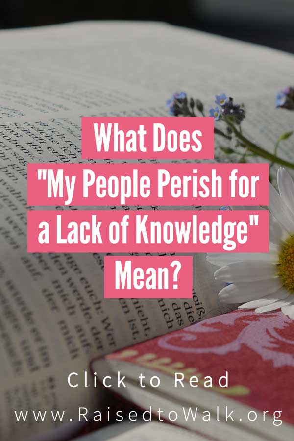 what does my people perish for a lack of knowledge in Hosea 4:6 mean