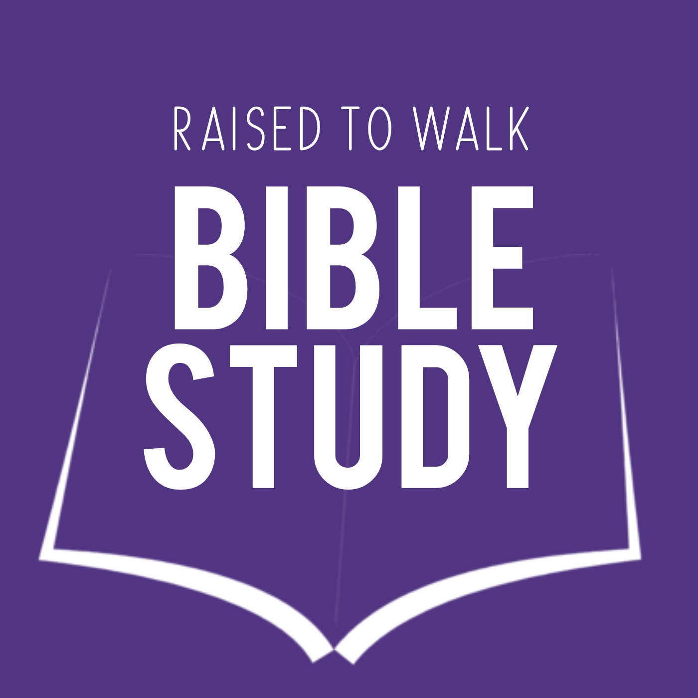 Raised to Walk Bible Study
